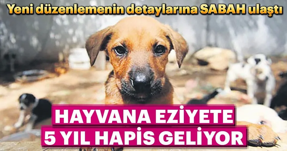 hayvana eziyete 5 yil hapis geliyor son dakika haberler