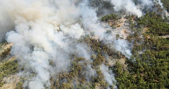 Muğla'daki orman yangını havadan görüntülendi
