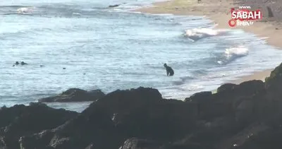 Şile sahilde bulunan mühimmatlar imha ediliyor | Video