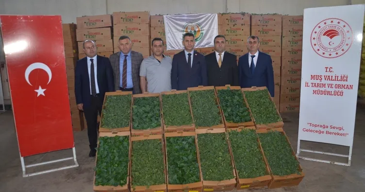 Çiftçiye 6,5 milyon TL’lik fide desteği