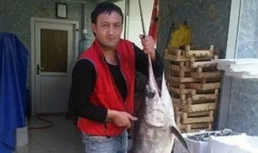 35 kiloluk kılıç balığı 2 saatte tükendi