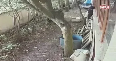 Tuzla’da makine kablolarını çalan iki hırsız yakalandı | Video