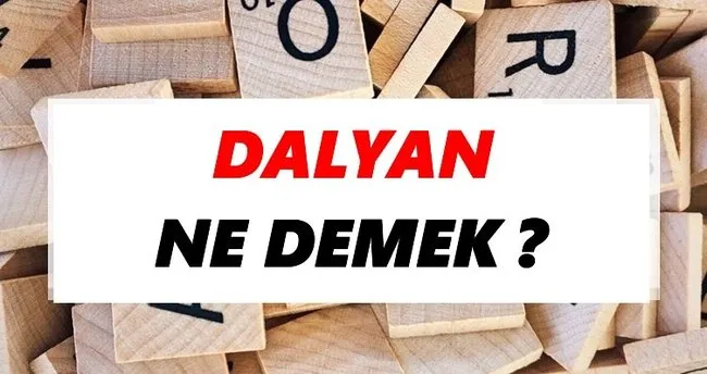 Dalyan Ne Demek? TDK’ya Göre Dalyan Sözlük Anlamı Nedir?