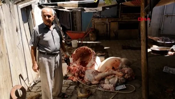 Malatya'da kesilen Kurbanlık büyükbaş, tüberkülozlu çıktı | Video
