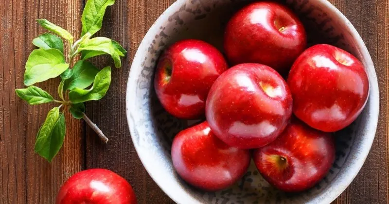 ruyada elma gormek ne anlama gelir ruyada elma yemek ve yesil kirmizi elma gormek ve ruyada curuk elma ruya tabirleri haberleri