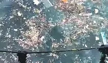 İstanbul Boğazı çöplüğe döndü