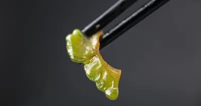 Etkisi inanılmaz... İşte kandaki zehir atan süper besin!