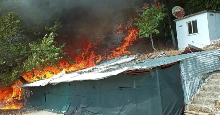 Son dakika: Çanakkale Ayvacık’ta orman yangını! Havadan ve karadan müdahale başladı