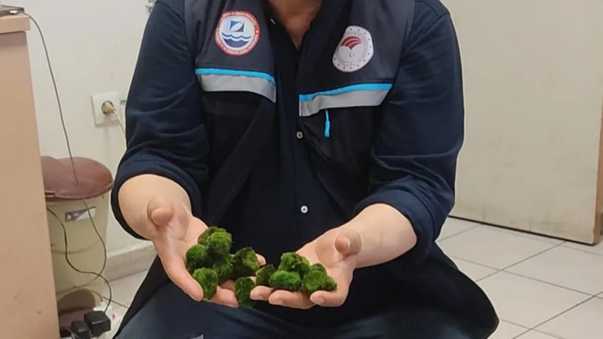 Kapıkule’de yeşil alg kaçakçılarına yüklü ceza: 2 bin adet ele geçirildi! Kapıkule’de yeşil alg kaçakçılarına yüklü ceza: 2 bin adet ele geçirildi!