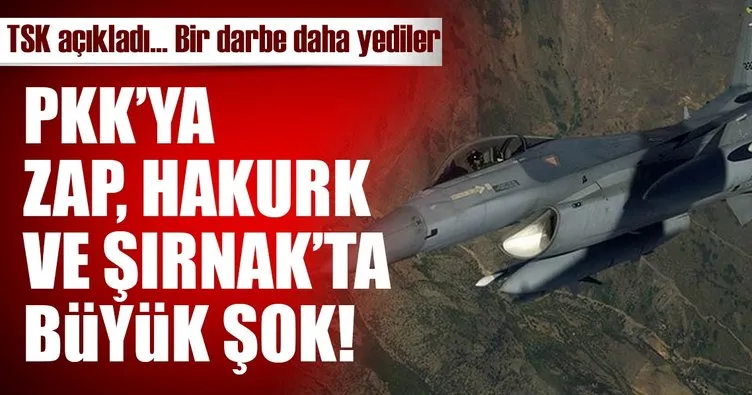 Son Dakika: PKK’ya bir darbe daha! 7 terörist...
