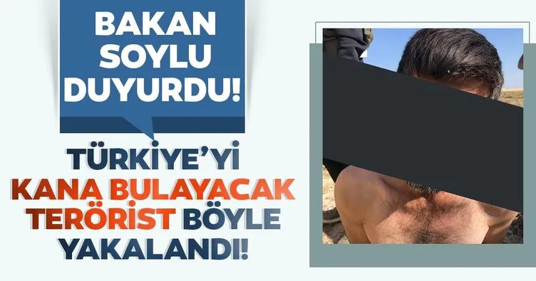 Son dakika: İçişleri Bakanı Süleyman Soylu duyurdu: Kanlı eylem planlayan terörist sınırda yakalandı...