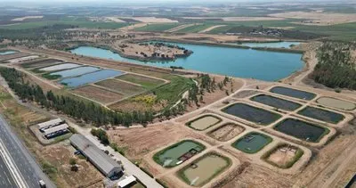 Şanlıurfa’dan 9 ile 25 milyon yavru sazan ve şabut gönderildi #sanliurfa