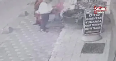 Ataşehir’de domates fidesi hırsızlığı kamerada | Video