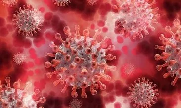 Koronavirüs pandemisinin arkasındaki şoke eden gerçek! Yeni rapor üst düzey isimlere sunuldu