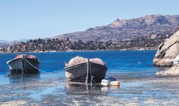 Bafa Gölü’nü kurtarma planı #aydin