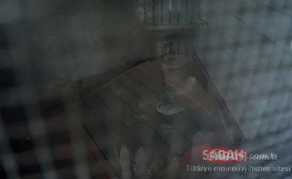 Garajdan çıkana inanamadı! Hayatının şokunu yaşadı