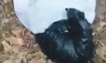 Belgrad Ormanı’nda sır ceset