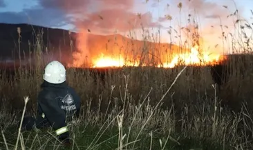 Van’da sazlıkta çıkan yangın söndürüldü
