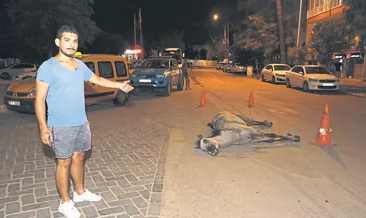 Vicdansızlığın böylesi