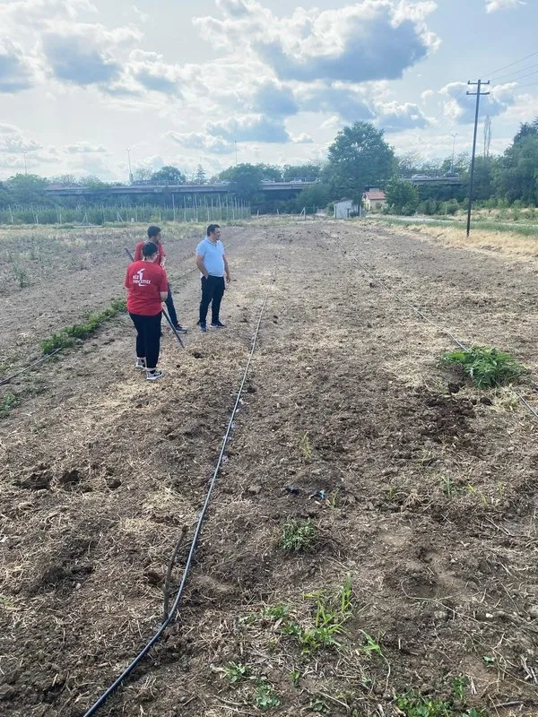Gönüllü gençler üretime katıldı