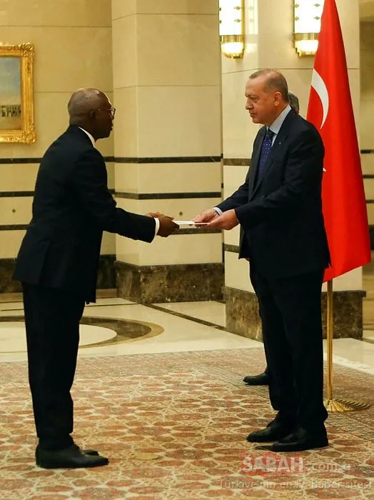 Akredite büyükelçiler, Başkan Erdoğan’a güven mektubu sundu