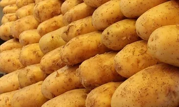 Avrupa’da patates krizi