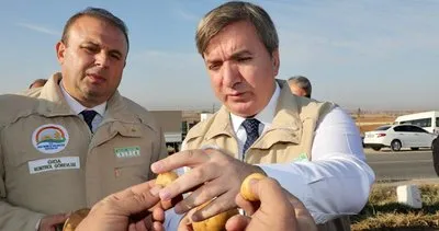 Aksaray’da üretilen altın sarısı patatese büyük ilgi #ankara