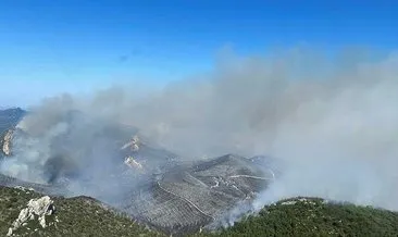 KKTC’deki orman yangını köyleri tehdit etmeye başladı