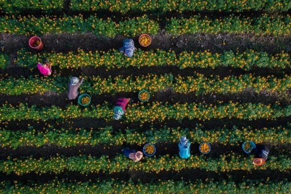 İşte bu yılın en iyi drone fotoğrafları