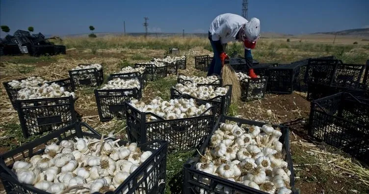 Gaziantep’in şifa kaynağı AB yolunda