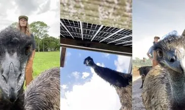 İnternet fenomeni deve kuşu Emmanuel’le tanışın! Keşke benim olsa diyeceğiniz Emmanuel’in kalp ısıtan hikayesi...