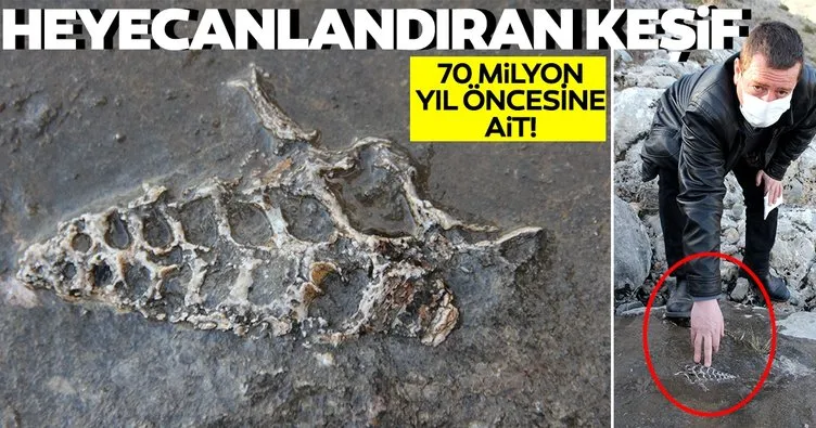 Adıyaman’da heyecanlandıran keşif! 70 milyon yıl öncesine ait