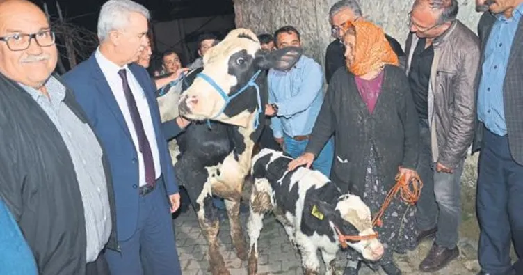 Sabiha nine bu kez mutluluktan ağladı