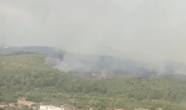 Muğla’da yıldırım kaynaklı orman yangını #mugla