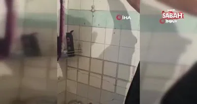 Duvarın içine gizlenmiş uyuşturucuyu narkotik köpeği buldu | Video