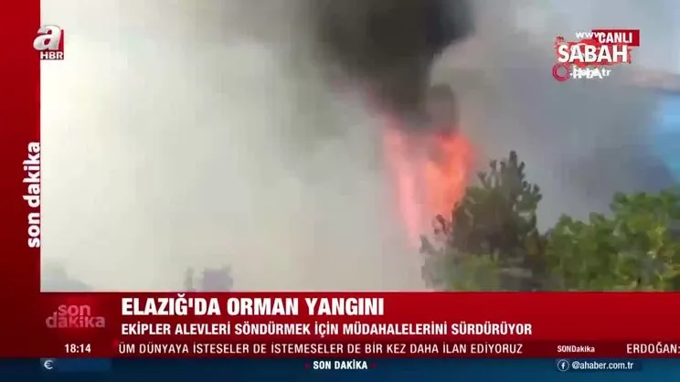 Son dakika: Elazığ'da orman yangını! Bölgeye çok sayıda ekip sevk edildi | Video