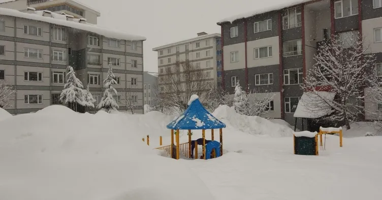 Bitlis’te kar yağışı etkisini arttırdı