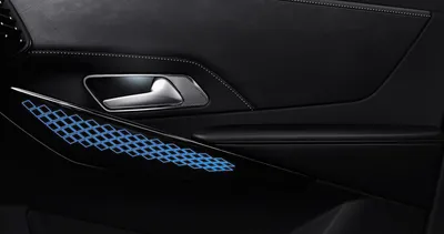 Özel dikimli DS Otomobilleri