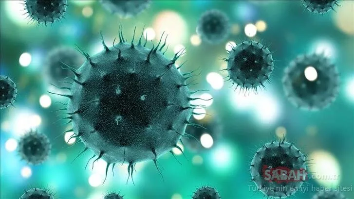 Son Dakika Haberi: Koronavirüs tedavisinde dünyayı umutlandıran gelişme! ‘Japonya harekete geçti!’