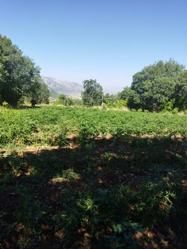 terorun-finansman-kaynagina-bir-darbe-daha-vuruldu-1658398897015.jpg