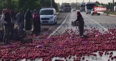 Domates taşıyan TIR kaza yapınca vatandaşlar domatesleri tarladan toplar gibi böyle topladı
