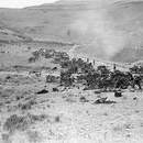 Megiddo Savaşı sona erdi