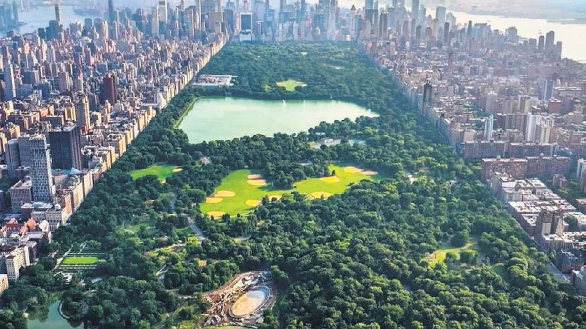 Rüya gibi şehir New York