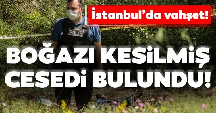 İstanbul’da vahşet! Ormanda boğazı kesilmiş erkek cesedi bulundu