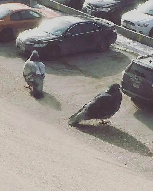 Anlamak için daha dikkatli bakmanız gerek