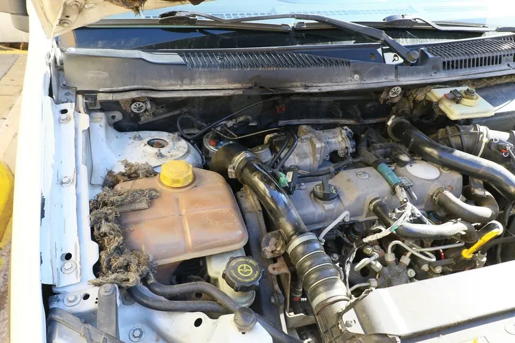 Aracın hava filtresine giren fare zor anlar yaşattı: Sürücünün çıkartma yöntemi ise yüzleri gülümsetti!