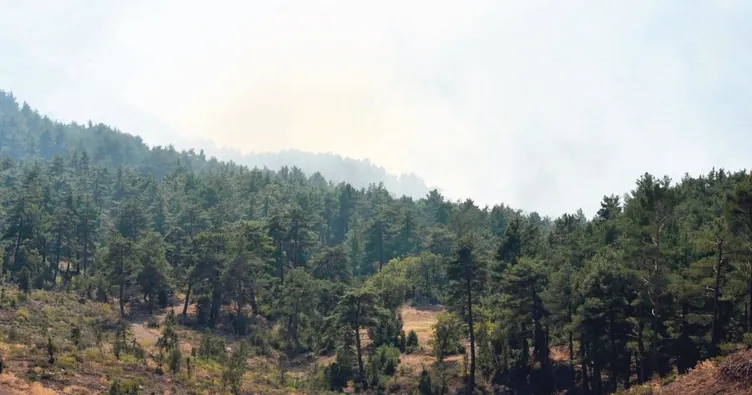 Yangın çıkaran 7 turist tutuklandı