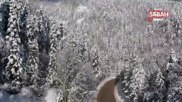 Ormanlar bu sefer beyaz örtüsüyle mest etti | Video