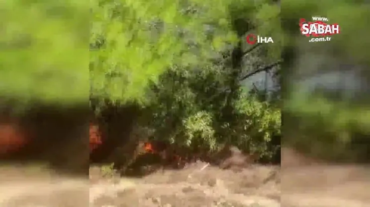 Adana'da orman yangını | Video