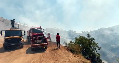 Bingöl’de iki ilçede çıkan orman yangınları söndürüldü